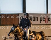 CAletto della Verdina TosTour2013- S5 3156 : Arezzo, Arezzo Equestrian Centre, Caletto della Verdina, Cavalli d'Italia, Toscana Tour 2013, foto di Stefano Secchi ©